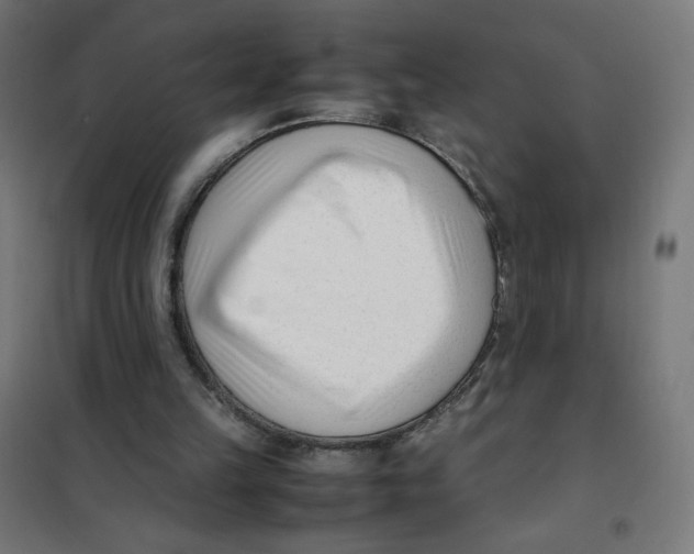 X0000101660149200808071029