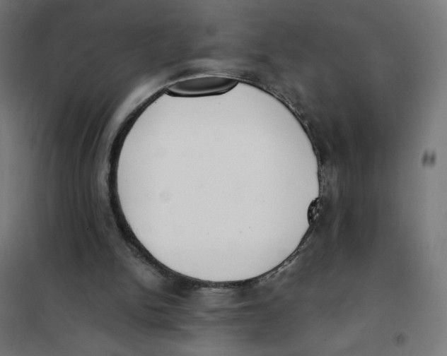 X0000101660150200808071029