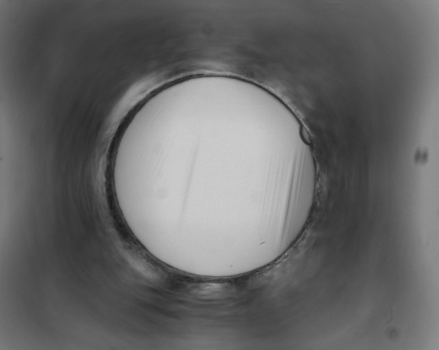 X0000101660151200808071029