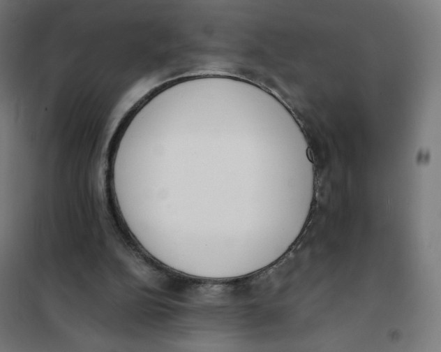 X0000101660152200808071029
