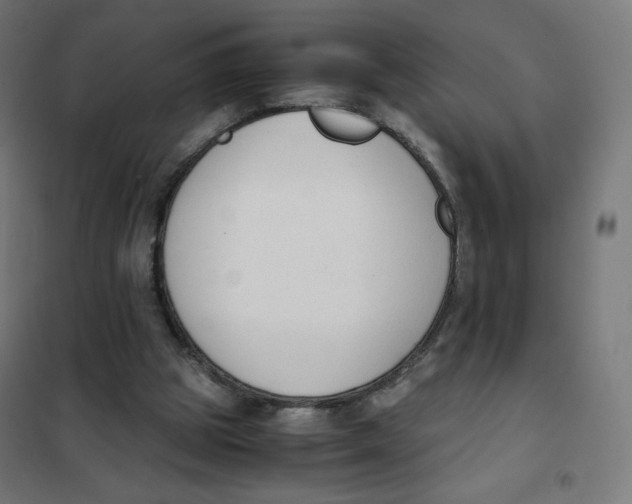 X0000101660153200808071029