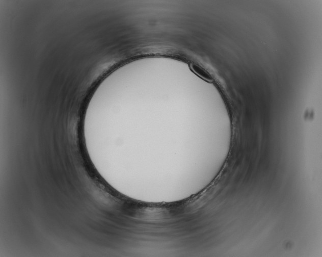 X0000101660154200808071029
