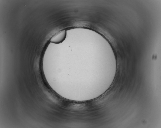 X0000101660155200808071029