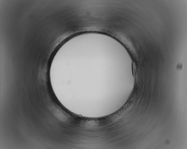 X0000101660156200808071029
