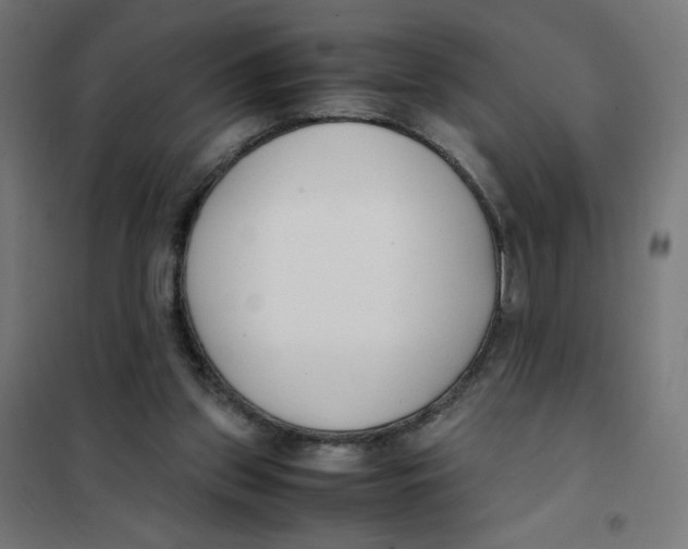 X0000101660157200808071029