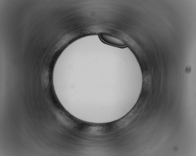 X0000101660158200808071029