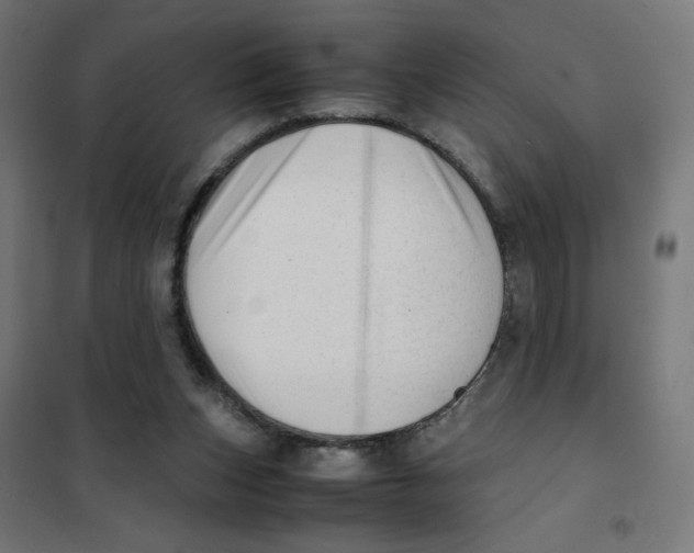 X0000101660159200808071029
