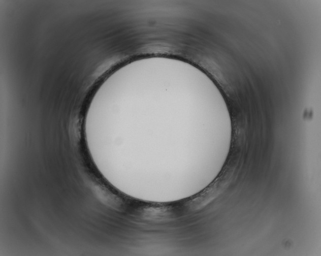 X0000101660160200808071029
