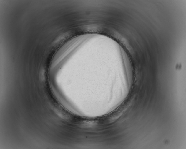 X0000101660161200808071029