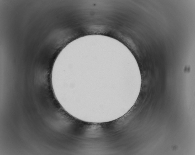 X0000101660162200808071029