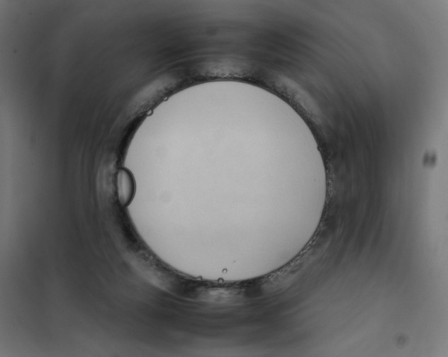 X0000101660163200808071029