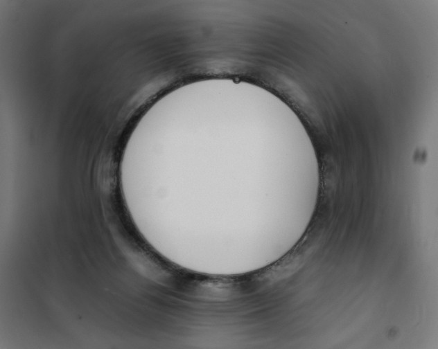 X0000101660164200808071029