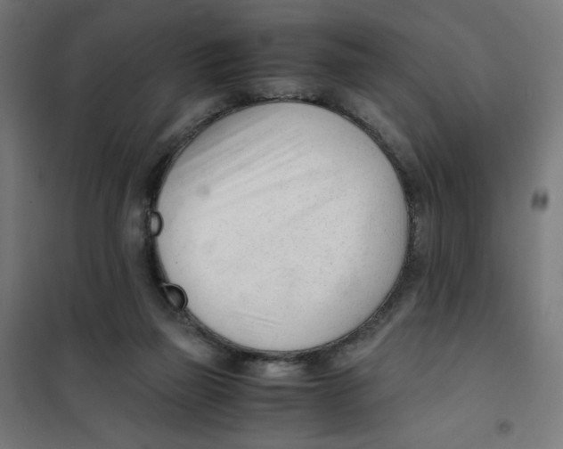 X0000101660165200808071029