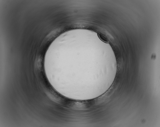X0000101660166200808071029