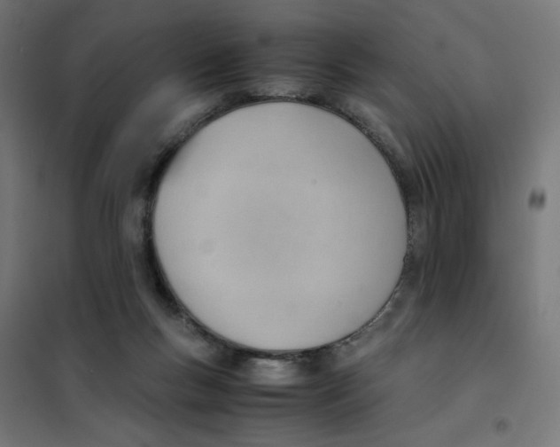 X0000101660167200808071029