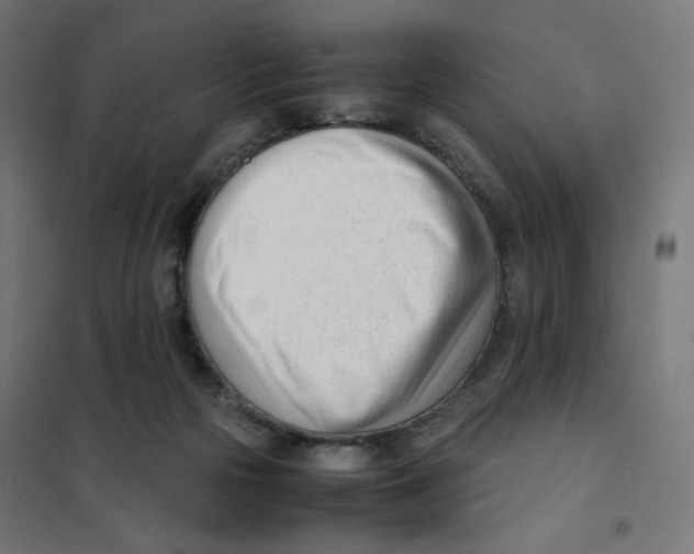 X0000101660169200808071029