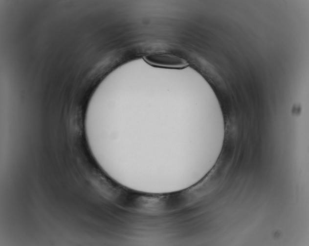 X0000101660170200808071029