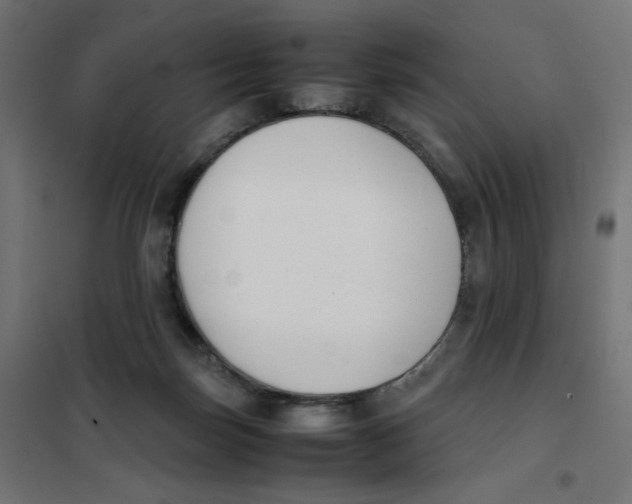 X0000101660171200808071029