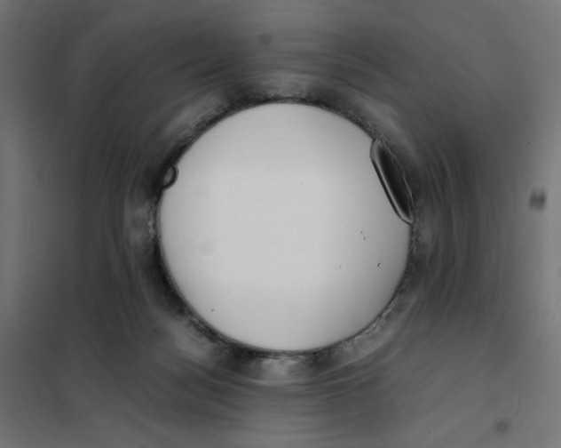 X0000101660172200808071029