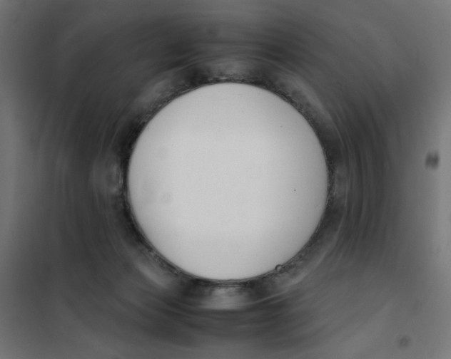 X0000101660173200808071029
