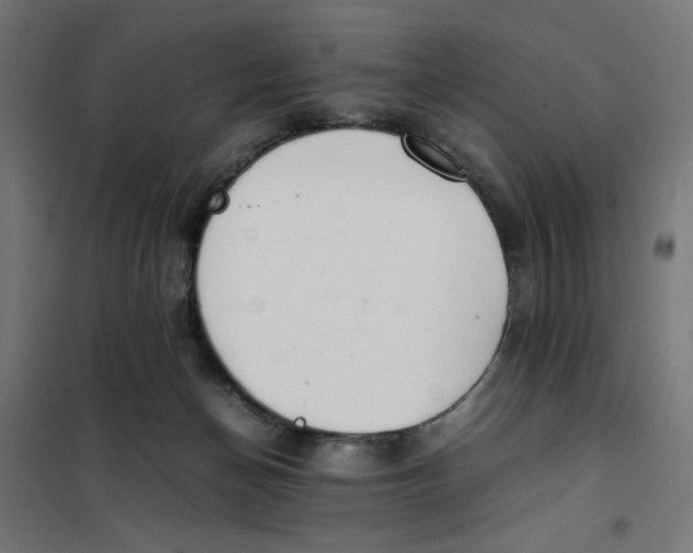X0000101660174200808071029