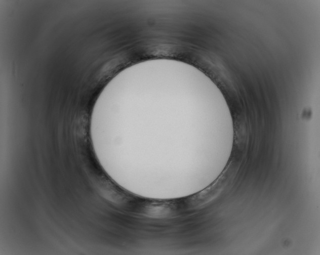 X0000101660175200808071029