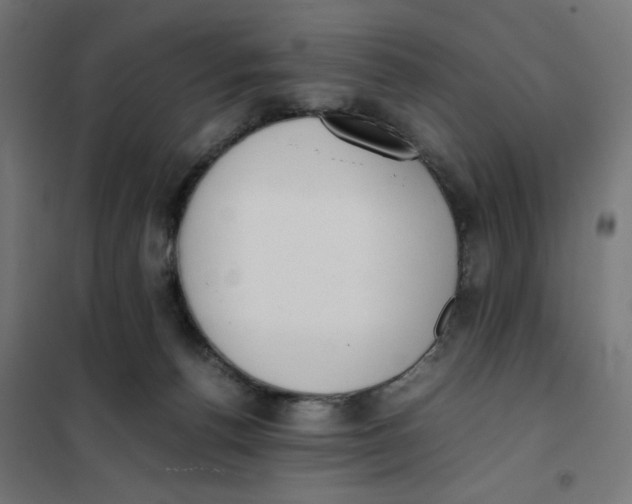 X0000101660176200808071029