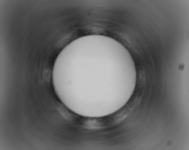 X0000101660177200808071029