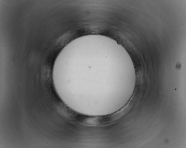 X0000101660178200808071029