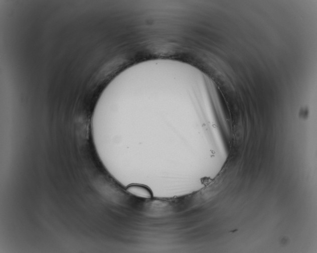 X0000101660180200808071029