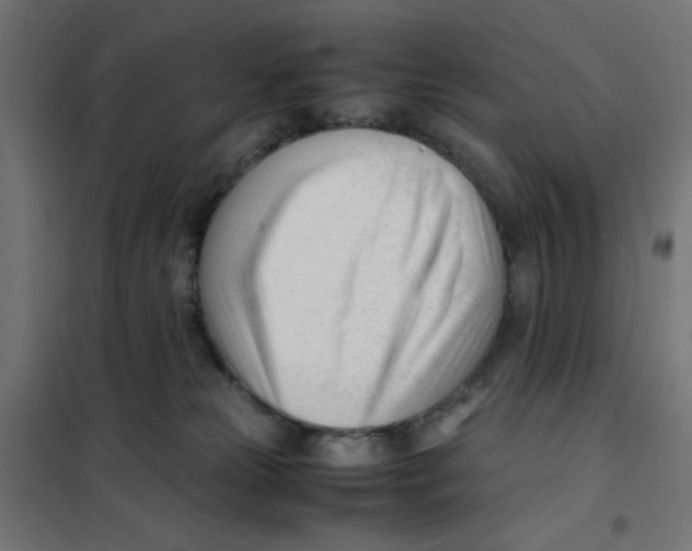 X0000101660181200808071029