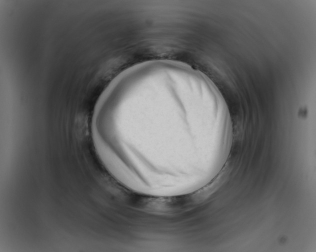X0000101660182200808071029