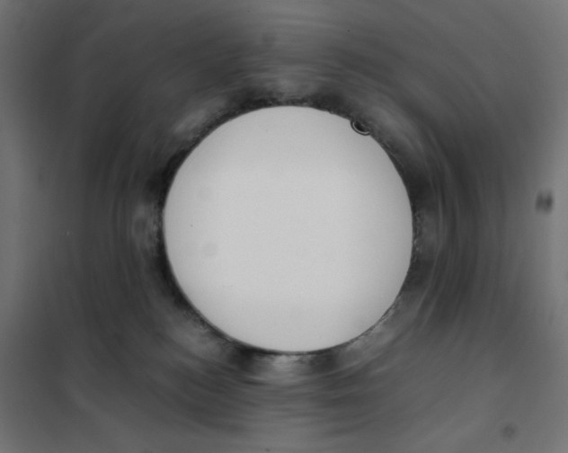 X0000101660184200808071029