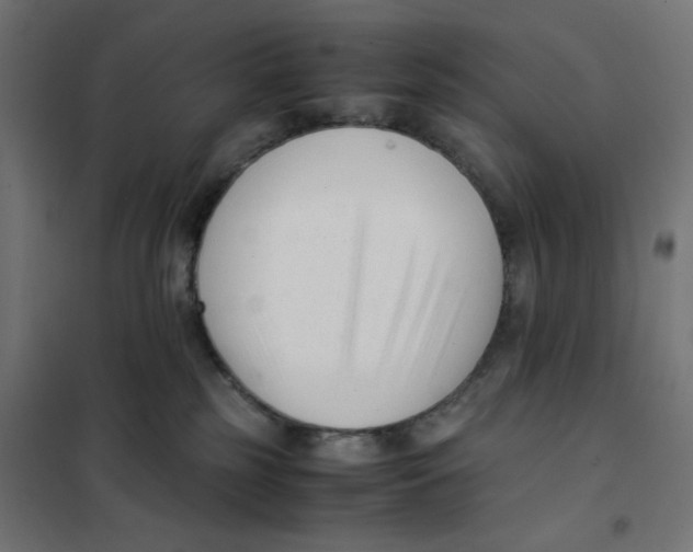 X0000101660185200808071029