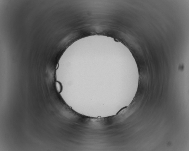X0000101660188200808071029