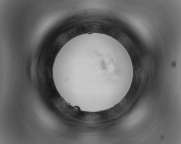 X0000101660189200808071029