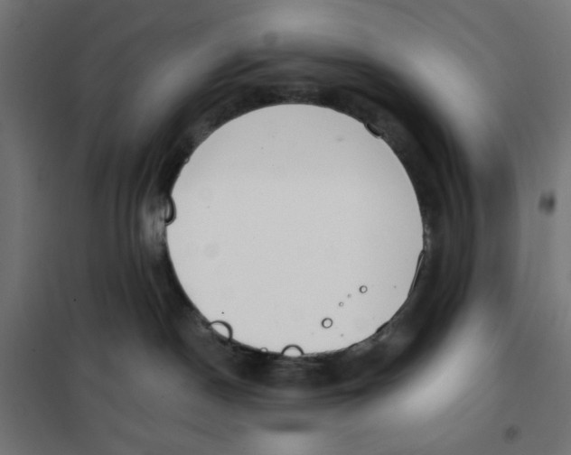 X0000101660190200808071029