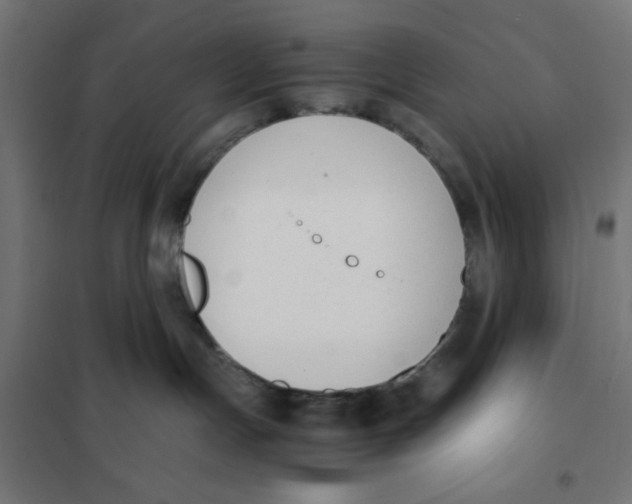 X0000101660191200808071029