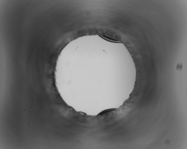X0000101660192200808071029