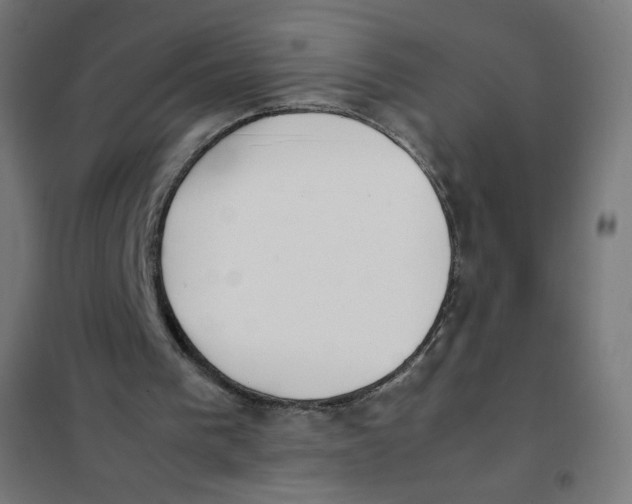 X0000101660193200808071029