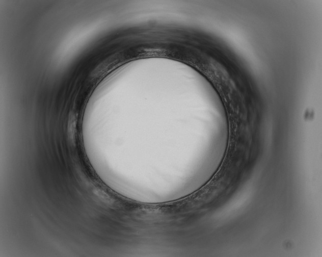 X0000101660194200808071029