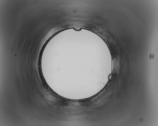 X0000101660195200808071029