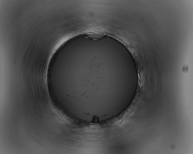X0000101660196200808071029