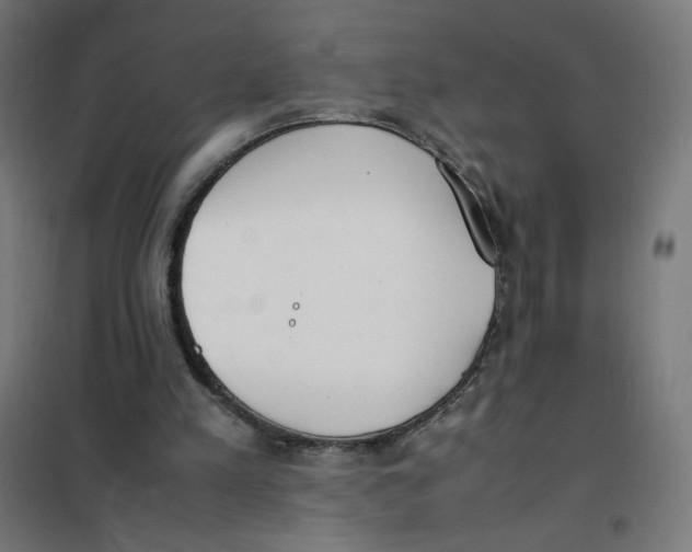 X0000101660197200808071029