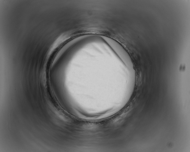 X0000101660198200808071029