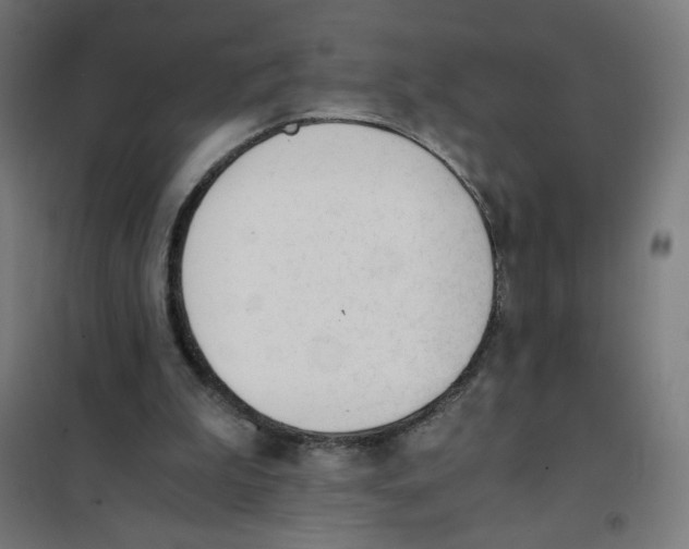 X0000101660199200808071029
