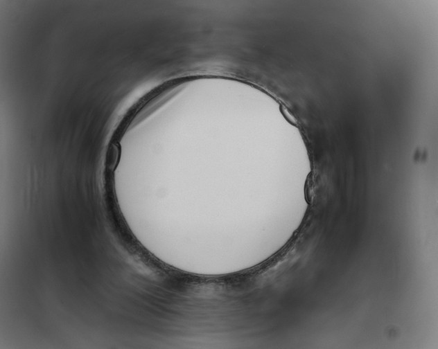 X0000101660200200808071029