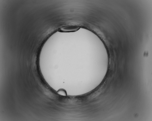 X0000101660201200808071029