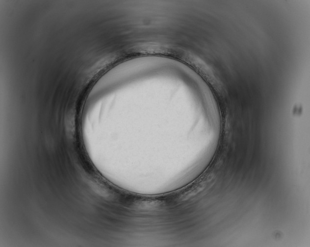 X0000101660202200808071029