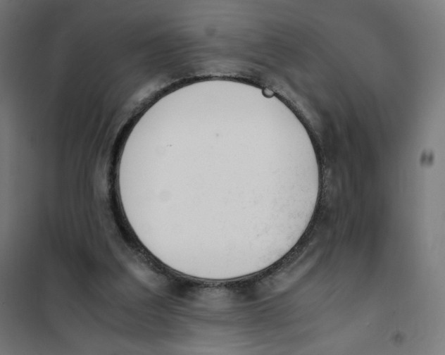 X0000101660203200808071029